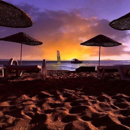 Cicek Evler Tatil Koeyue Otel Armutlu Dış mekan fotoğraf
